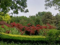 -大兴滨河森林公园