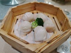 宝园虾饺皇-宝园酒家(美林M·LIVE天地东座店)