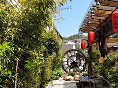 -慢丽江·云南野生菌土鸡锅(付家庄店)