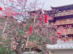 -大佛古寺