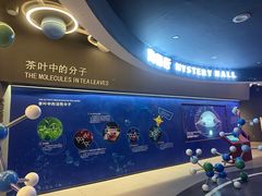 -大益茶庭(勐海会员中心店)