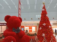 -皇庭广场(福华三路店)