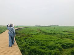 -鄱阳湖国家湿地公园
