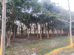 -蜀冈西峰生态公园