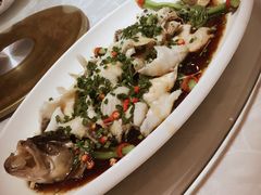 -鱼翅楼·津派砂锅鱼翅(水上公园店)