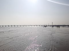 -南汇新城海滩