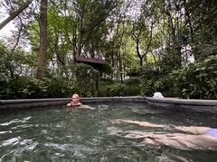 -青城道汤池