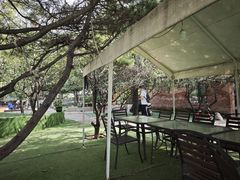 -尚庄度假村·庭台树下·户外烧烤·团建CS·轰趴营地(上庄水库店)