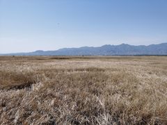 -野鸭湖国家湿地公园