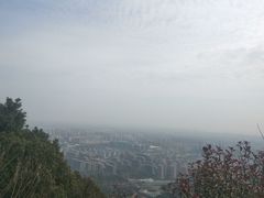 -杭州半山国家森林公园