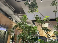 -gaga(深圳福田星河COCO Park店)