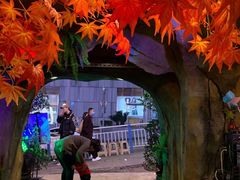 -醉小酒馆·川菜·江湖菜·重庆菜(观音桥旗舰店)