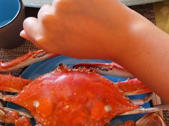 -三泉海中鲜海鲜加工零售广场(幸福时代店)