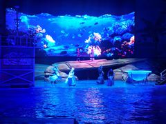 -海合安武汉极地海洋公园