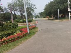 -万绿园