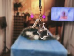-翡翠森林宠物火化殡葬(通州店)