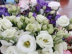 -荷兰花海