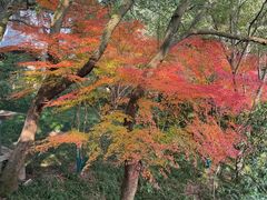 -中国茶叶博物馆(双峰馆区)