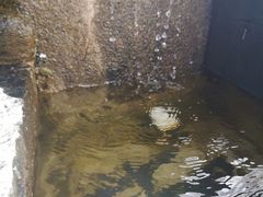 -瑞丰园庭院餐厅·白族传统家常菜