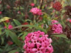 -华南国家植物园-售票处