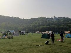 -羊山湖公园