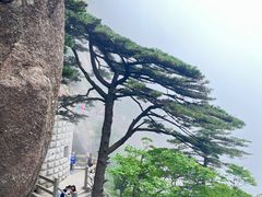 -黄山风景区