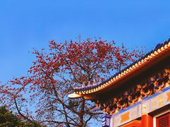 -广州中山纪念堂