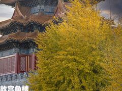 -故宫博物院(故宫)