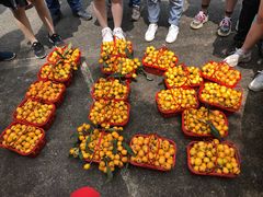 -塘栖枇杷特色园区