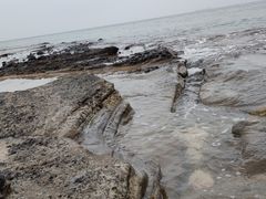 -贝壳沙滩