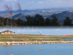 -黔灵山公园