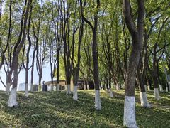 -昆山城市公园