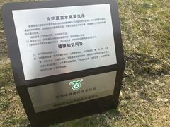 -南翔镇银翔湖公园