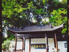 -深圳国际园林花卉博览园