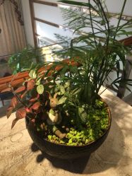 picture-ＤＯＭＯプロの美容サロン