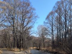 -洮儿河国家湿地公园