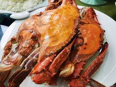 -望海潮海鲜店 特色家常菜(在海一方店)