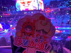 -梦之蓝青奥体育公园体育馆