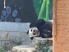 -南昌动物园