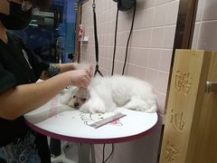 -FAELING PETS美天灵宠物(富力广场店)
