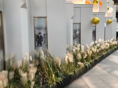 -佐度王子扒房(西城红场店)