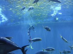 -西安华夏文旅水世界