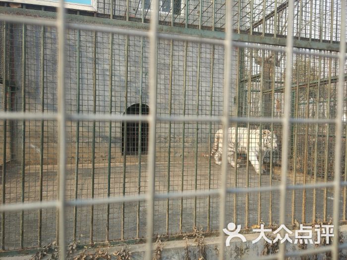 淄博动物园图片 第1张