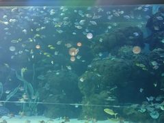 -邯郸海洋世界