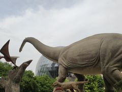 -陕西自然博物馆