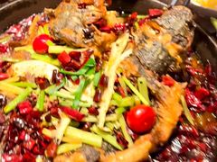 -老板恋上鱼(恒隆广场店)