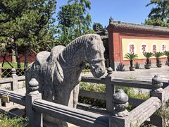 -洛阳白马寺