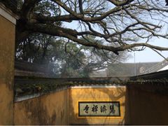 upload_pic-普陀山慧济禅寺