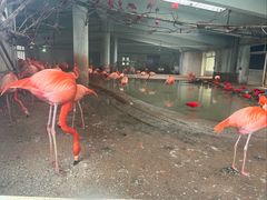 -石家庄市动物园