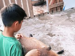 -廊坊固安福朋喜来登酒店